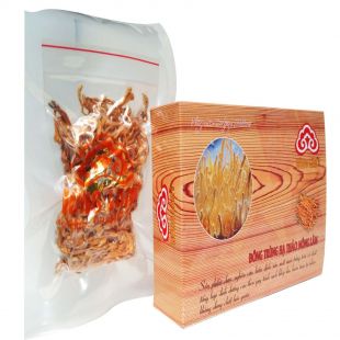 Đông Trùng Hạ Thảo JP-Militaris Nông Lâm (100g) 