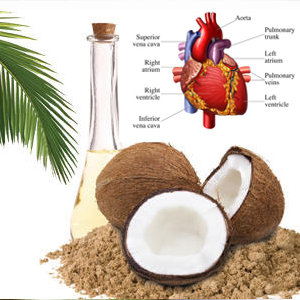 Lợi ích của dầu dừa đối với sức khỏe con người 4