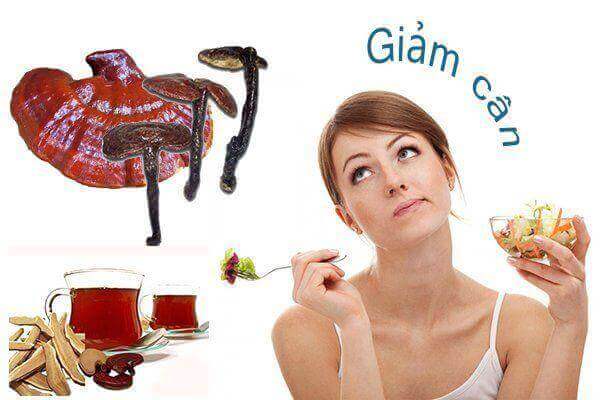 Giảm cân với nấm linh chi