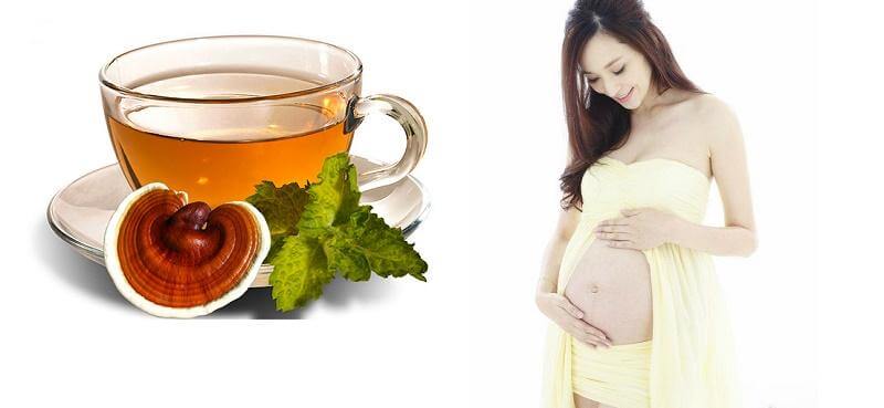 tác dụng nước nấm linh chi với phụ nữ mang thai
