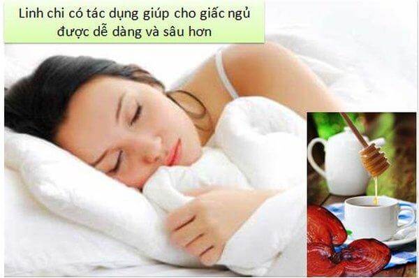 Bí quyết để có một giấc ngủ sâu trọn vẹn từ nấm linh chi 4