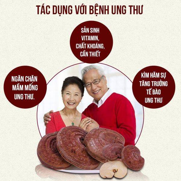 Tác dụng nấm linh chi với bệnh ung thư