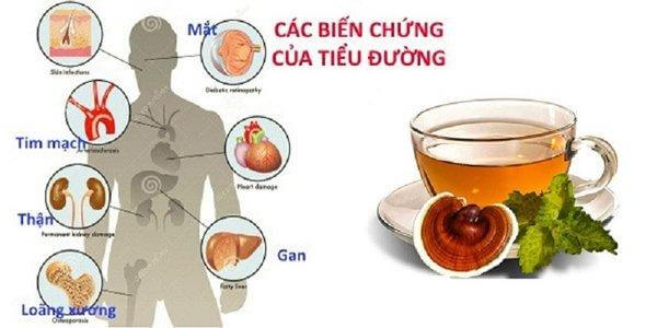 nấm linh chi tốt cho người tiểu đường