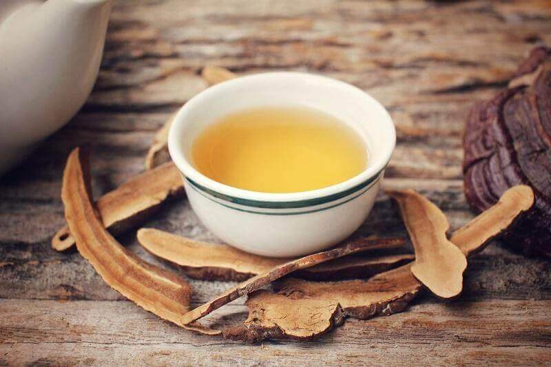 trà nấm linh chi giúp trị bệnh an toàn