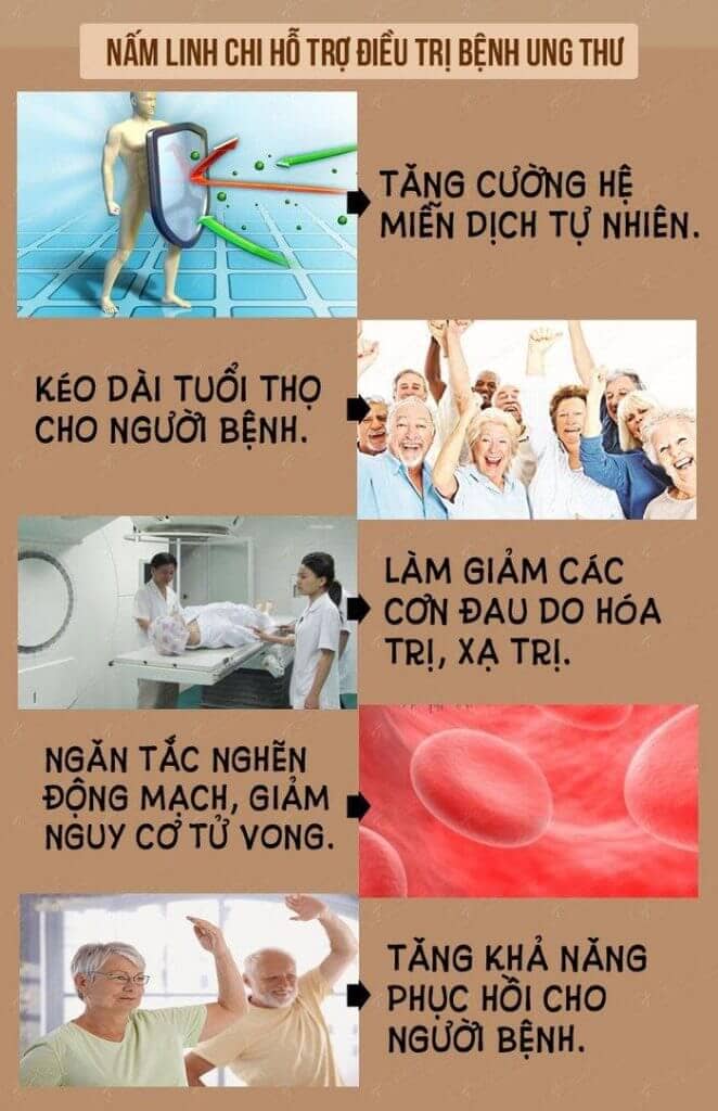 Tác dụng nấm linh chi với người bị ung thư