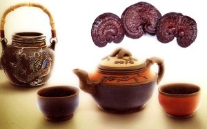 Dùng bột nấm linh chi để hãm trà