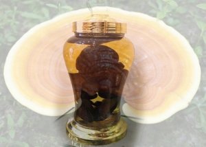 Rượu nấm linh chi đỏ để càng lâu càng ngon