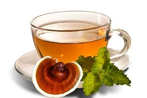 Không dùng nước nấm lim xanh đã để quán 24h