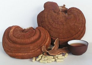 Thị trường xuất hiện nhiều loại nấm linh chi đỏ kém chất lượng bày bán tràn lan