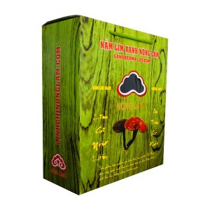 Nấm lim xanh Nông Lâm có nguồn gốc chất lượng
