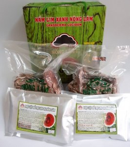 Nấm lim xanh Nông Lâm có giá thành phải chăng