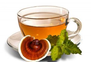 Trà nấm linh chi đỏ nguyên chất luôn là lựa chọn hàng đầu