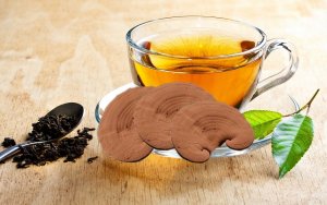 Nấm linh chi có tác dụng làm đẹp da