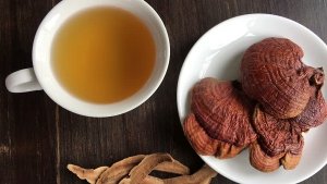 Nên tìm mua nấm lim xanh tại những cơ sở uy tín