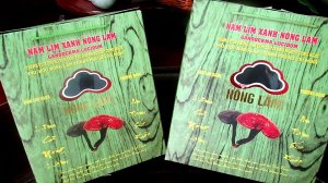 Nấm lim xanh Nông Lâm cao cấp có giá thành phù hợp