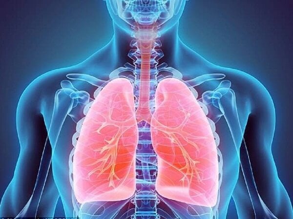 Có nhiều căn bệnh nguy hiểm liên quan đến phổi