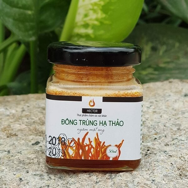 Cách dùng đông trùng hạ thảo lavite