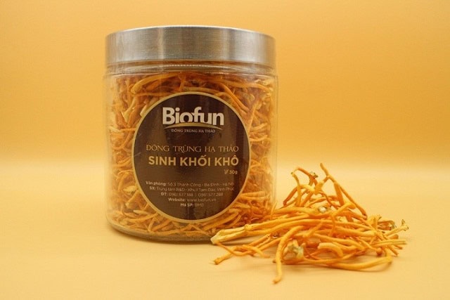 Lưu ý khi dùng đông trùng hạ thảo biofun