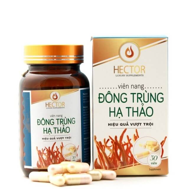 Cách dùng đông trùng hạ thảo hector