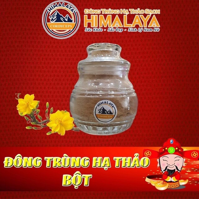 Tác dụng của đông trùng hạ thảo himalaya