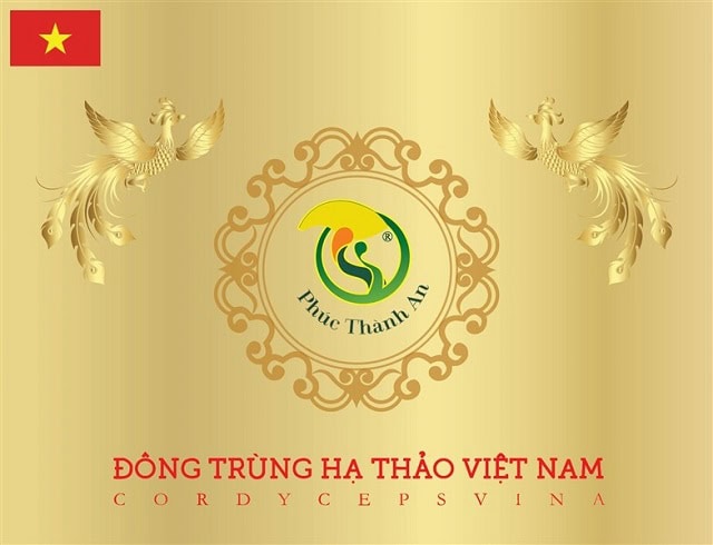 Đông trùng hạ thảo phúc thành an có tốt không