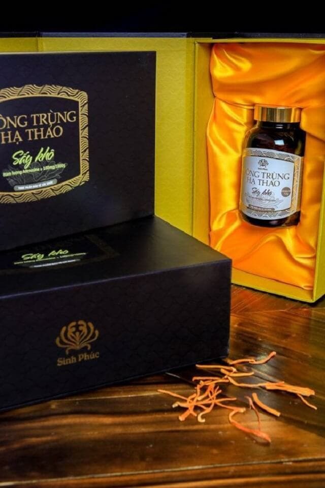 Tác dụng của đông trùng hạ thảo sinh phúc