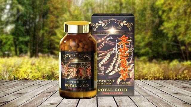 Tác dụng đông trùng hạ thảo tohchukasou royal gold