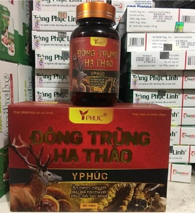 Giá bán đông trùng hạ thảo y phúc