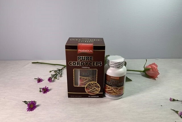 Viên uống đông trùng hạ thảo pure cordyceps