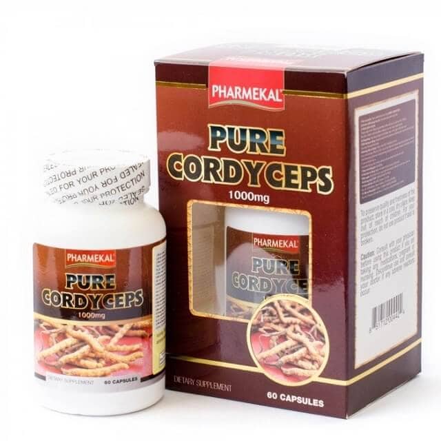 Giá đông trùng hạ thảo pure cordyceps