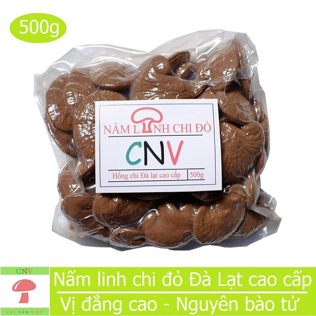 Nấm linh chi cây nấm việt cnv