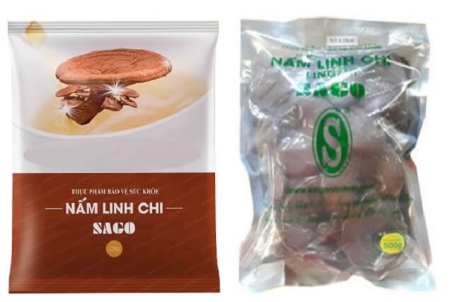 Nấm linh chi sago là gì