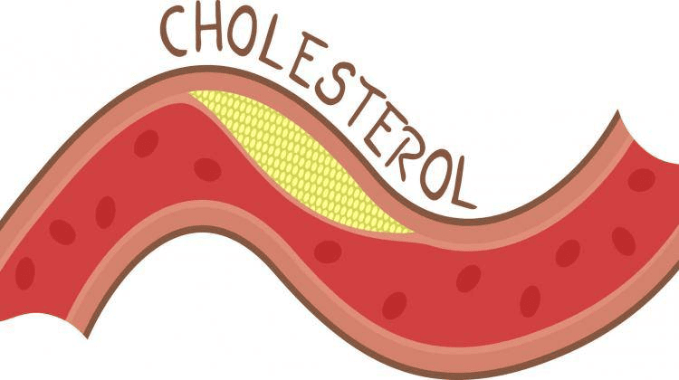 Tác dụng đong trùng hạ thảo với cholesterol