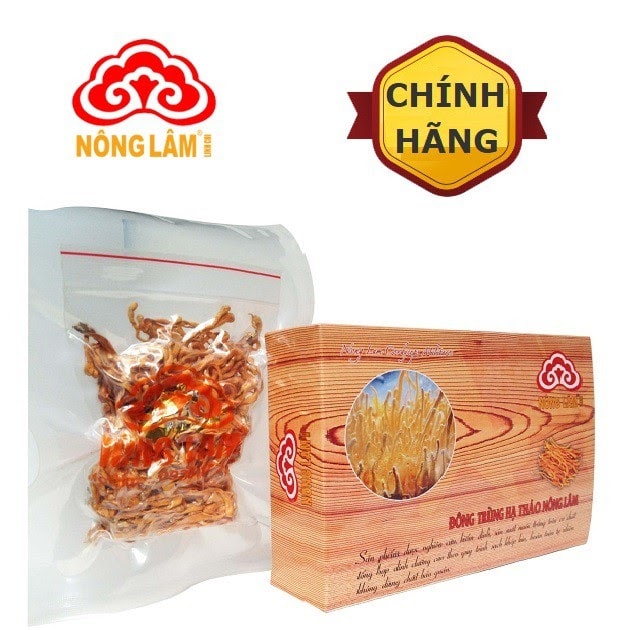 Rối loạn cương dương có nên dùng đông trùng hạ thảo