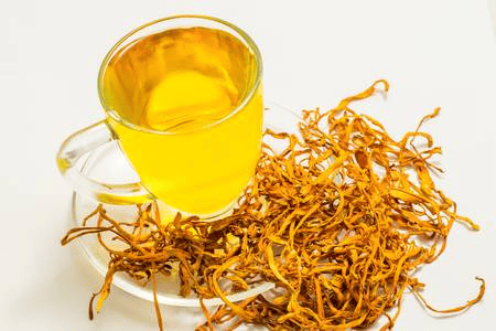 Đông trùng hạ thảo nhân tạo Cordyceps Việt Nam