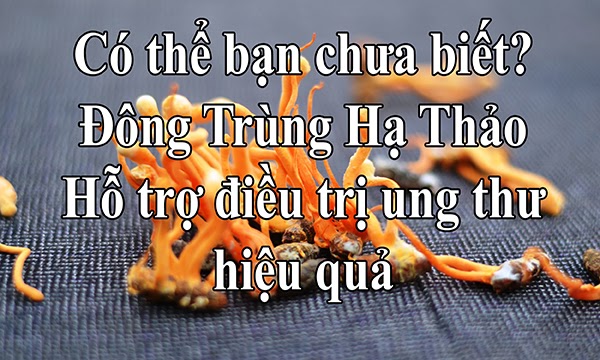 Đông trùng hạ thảo trị ung thư