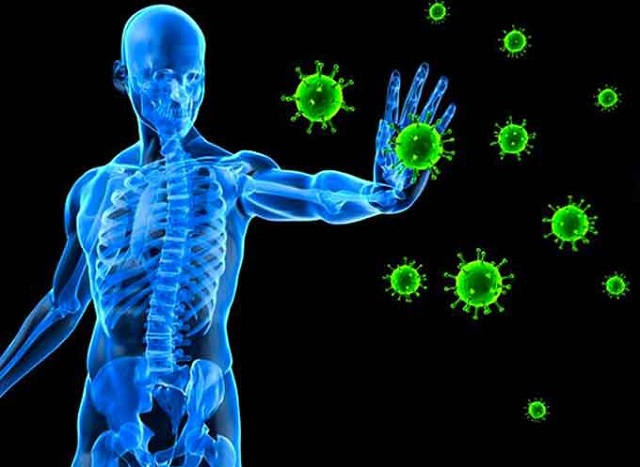 Hệ miễn dịch khỏe mạnh sẽ bảo vệ cơ thể khỏi các loại virus gây hại