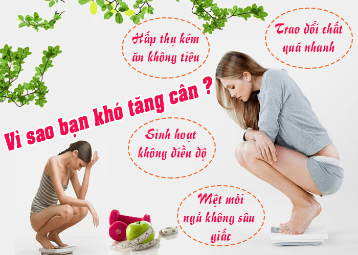 Tác dụng đông trùng hạ thảo với người ốm yếu