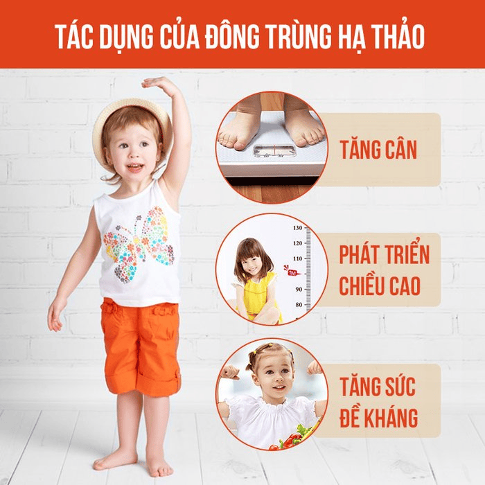 Những Câu Hỏi Thường Gặp Về Đông Trùng Hạ Thảo Cho Trẻ Em