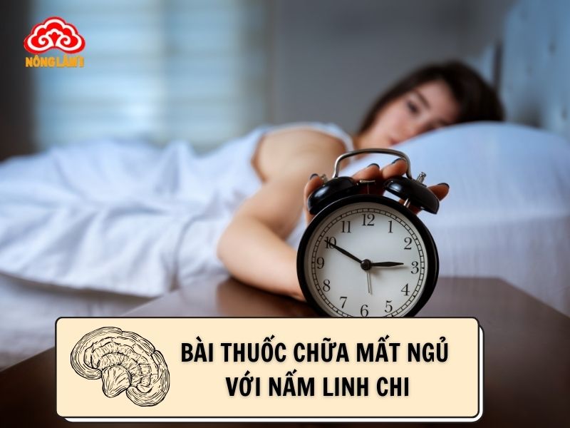 Bài thuốc nấm linh chi giúp trị mất ngủ hiệu quả