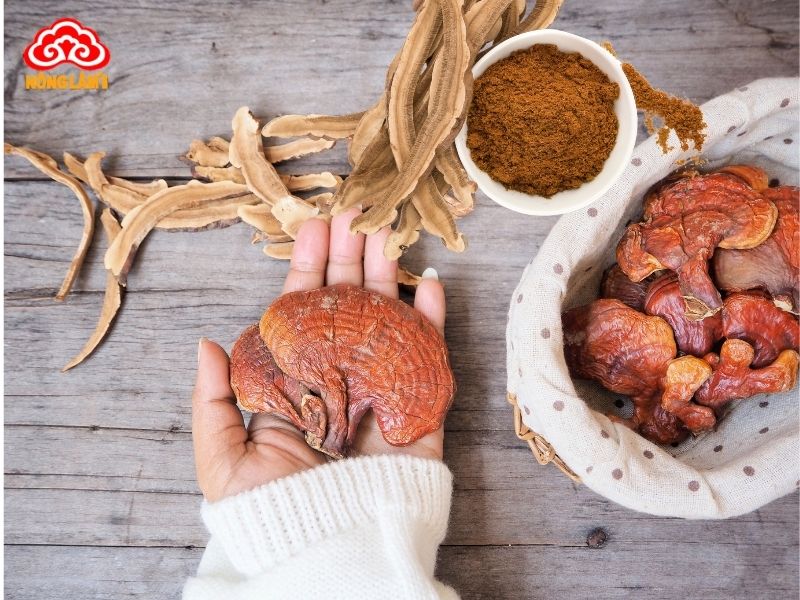 Nấm linh chi thái lát và bột nên cân nhắc khi bảo quản tủ lạnh