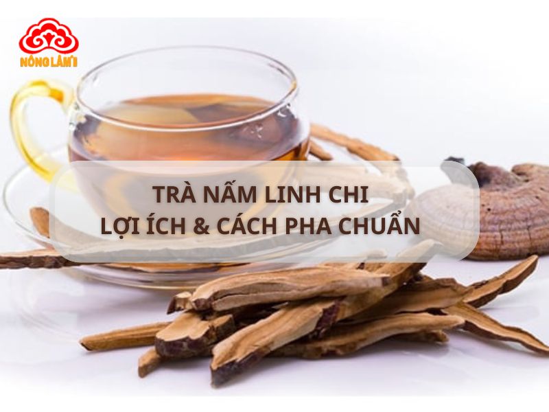 Trà Nấm Linh Chi: Lợi Ích &Amp; Cách Pha Chuẩn 11 Trà nấm linh chi: lợi ích & cách pha chuẩn