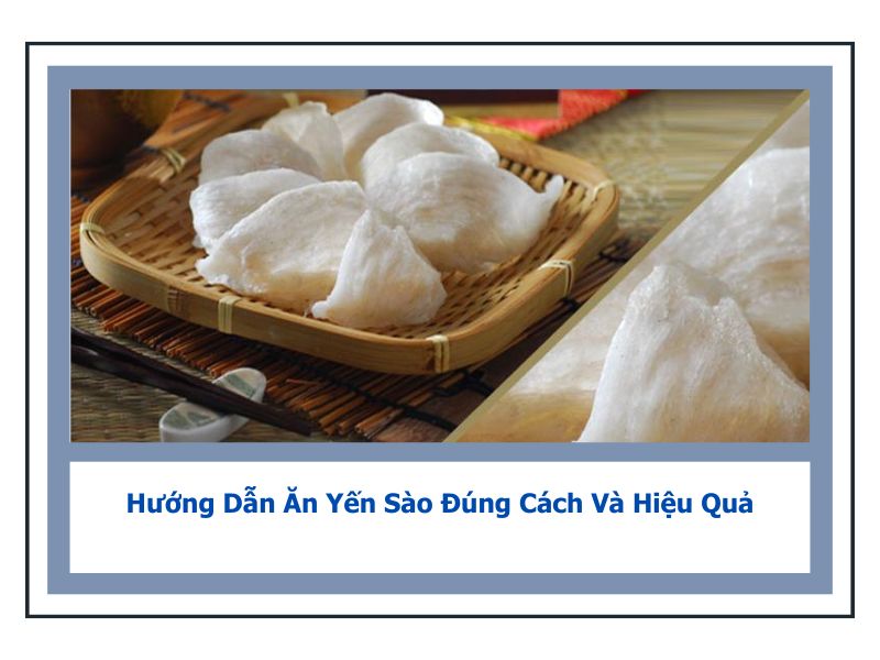 cách sử dụng yến sào