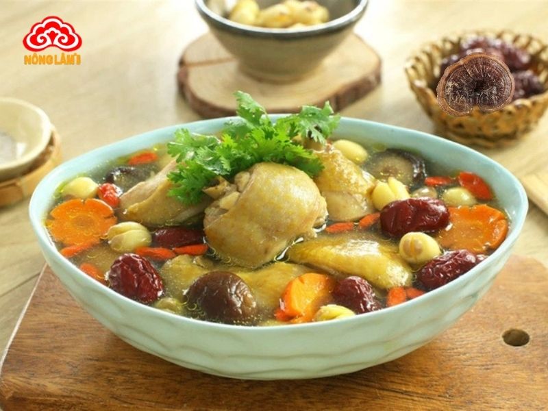 Gà hầm nấm linh chi trị mất ngủ