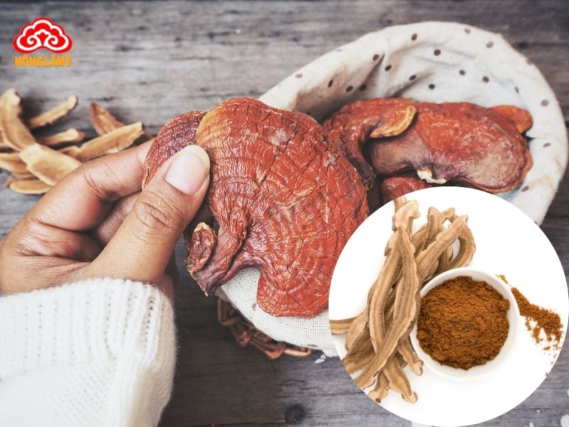 Tác Dụng Nấm Linh Chi Với Hội Chứng Mệt Mỏi Mãn Tính 11 Sử dụng nấm linh chi đúng cách cho người hội chứng mệt mỏi mãn tính