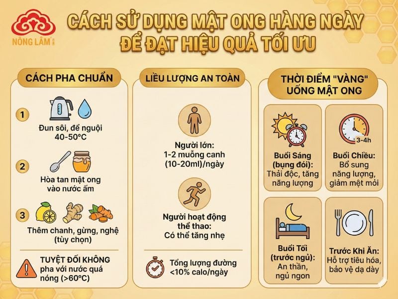 Uống Mật Ong Mỗi Ngày Sẽ Như Thế Nào? 12 Hướng dẫn sử dụng mật ong hằng ngày an toàn, hiệu quả tối ưu