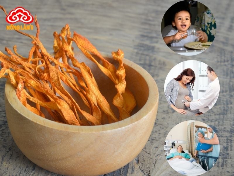 Đối tượng không nên dùng đông trùng hạ thảo