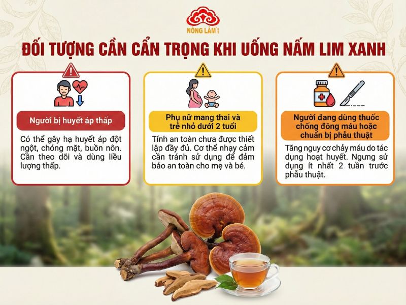 Lưu Ý Khi Uống Nấm Lim Xanh Để Đảm Bảo An Toàn, Hiệu Quả 8 Đối tượng nên cẩn trọng khi dùng nấm lim xanh