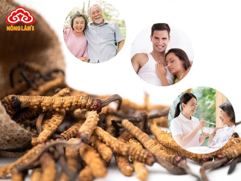 Đối tượng nên dùng đông trùng hạ thảo