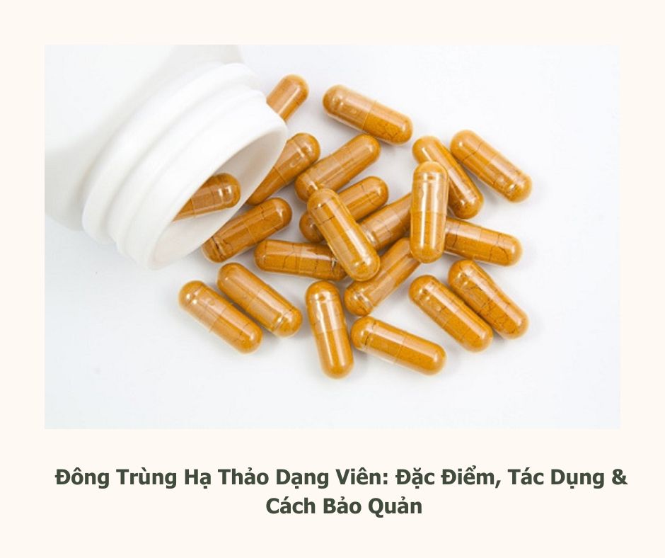 đông trùng hạ thảo dạng viên